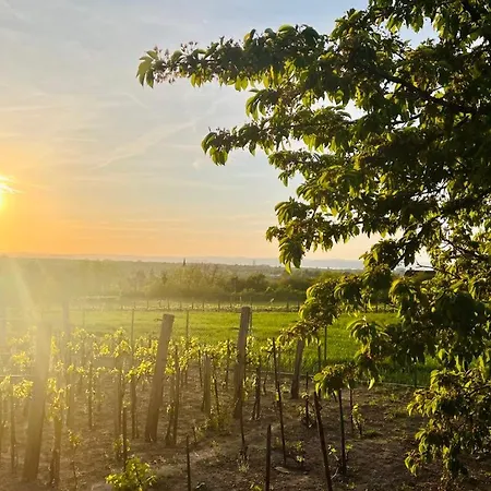 Appartamento Hutiferi *