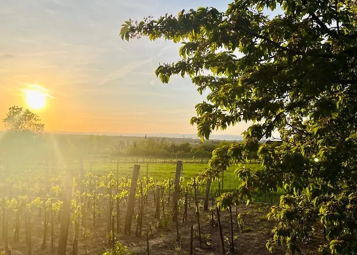 아파트 Hutiferi *